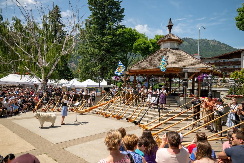 Alphorn Celebration
